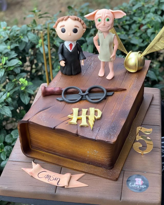 Happy Birthday Cansın💫 #harrypottercake  #cakeslove